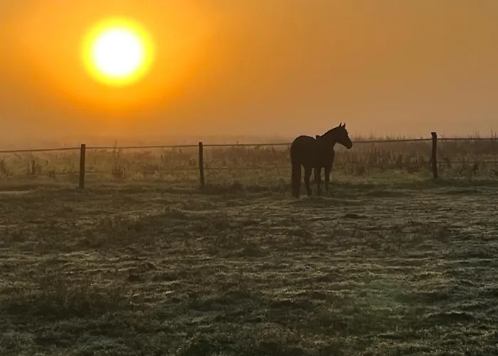 Domaine Ranch Kabahina Golf Vendégház 3*