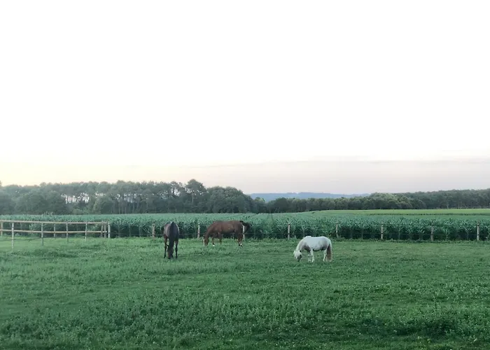 Domaine Ranch Kabahina Golf 3* Saint-Geours-de-Maremne